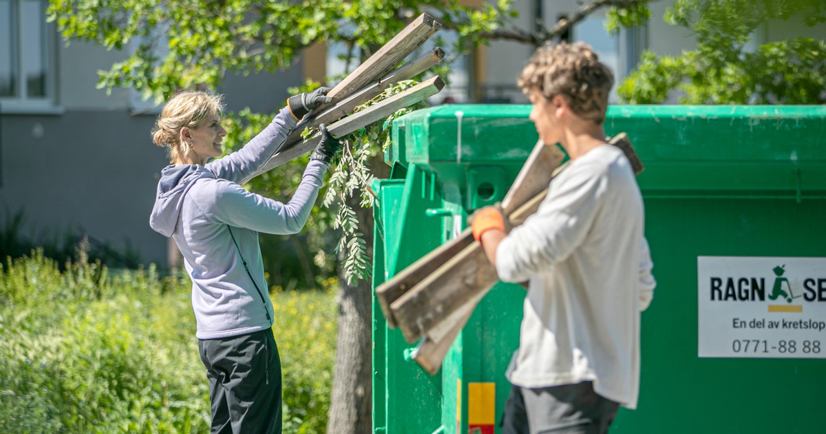 Läs mer om artikeln Container hösten 2024